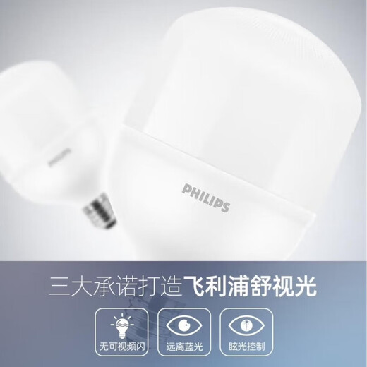Philips (PHILIPS) led energy-saving light bulb ultra-bright lighting factory high-power bulb e27 screw bulb 24w-white light 6500K 1 piece