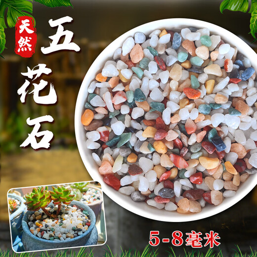 Runhuanian Pure Rain Flower Stone Potted Succulent Pavement Stone Small Multicolored Stone Fish Tank Pavement Ornamental Stone Colorful Small Stone Multicolored Stone 5-8mm 3Jin Jin is equal to 0.5 kg.
