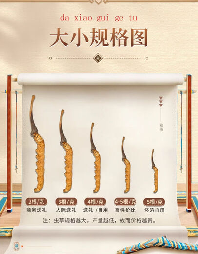 Beijing Tongrentang Raw Material Plateau Cordyceps sinensis (Specifications 2-3 roots/g) Authentic Cordyceps sinensis Non-broken grass gift box 2-3 roots/g About 7-9 roots [Not given] Net content 3 grams