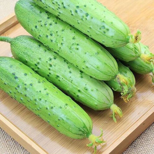 New varieties of fruit cucumbers are on the market for raw consumption, new varieties of fruit seeds and vegetable seeds for balcony planting, new varieties of crisp and sweet fruit cucumber seeds, 250 capsules, 5 packs