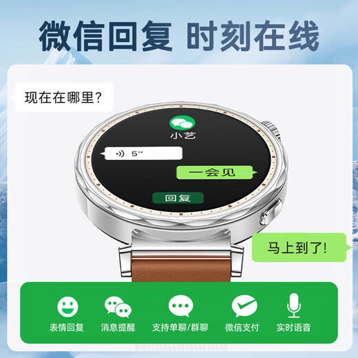 华为【国家补贴15%】华为手表watch gt5运动智能血氧心率通话微信睡眠学生送男女生友手表gt43pro升级 湖光青手表+陶瓷白银定制表带
