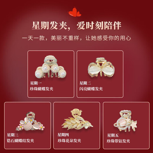 Dingjing Mini Hairpin Hairpin Headwear Women's High-end Hair Accessories Gift Box Girls Practical Niche Gifts for Girlfriends