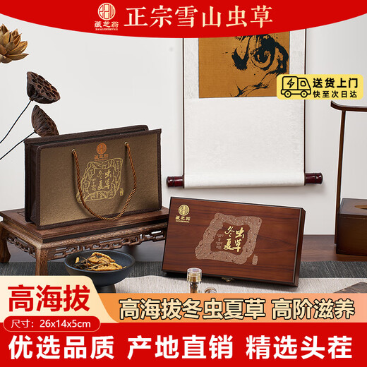 藏芝翁高海拔冬虫夏草精选头茬干虫草高端滋补礼盒送长辈送领导送客户 3根/克共10克【走亲访友，高端大气】