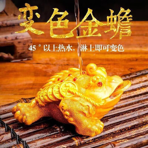 Meikejie color-changing tea pet ornaments golden toad tea table toad boutique tea accessories tea table creative color-changing tea pet ornaments golden toad tea table toad boutique tea