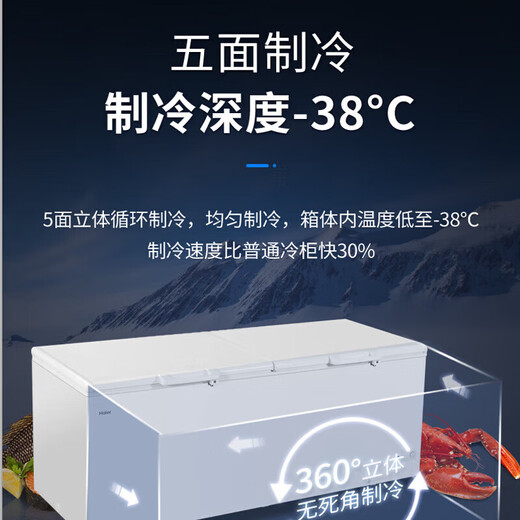 海尔（Haier）冰柜719L超大容量卧式商用大冰柜500升以上大冷冻柜-38°超低温速冻一机多用100小时断电保护 719HEZ-38度速冻 五面制冷