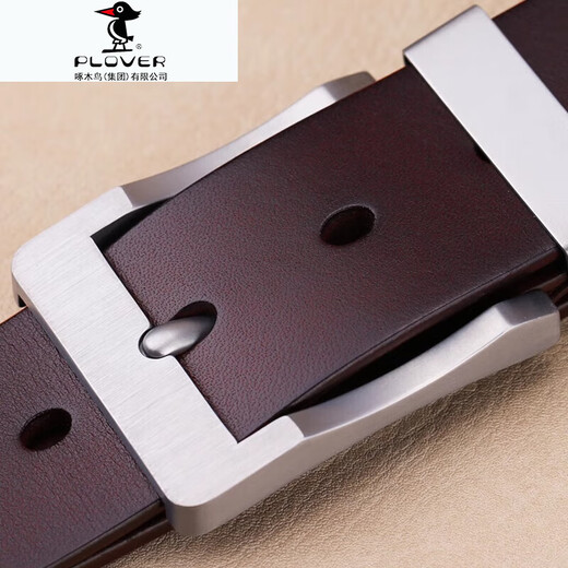 Plover Titaniumlegierungsgürtel Herren echter Leder Casual Pin Schnalle Schicht Cowide Gürtel Herren-Simple mittlere Jeansgürtel Trendy Titanschnalle 9227 Titan-Knockle-Dark Brown (Bandbreite 3,8 cm) 110 cm