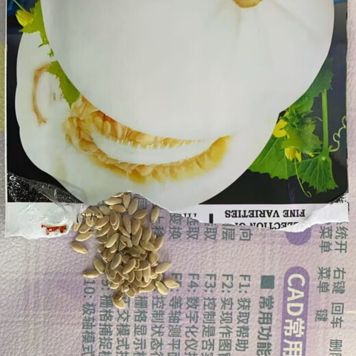White sand honey melon seeds rock sugar melon seeds cantaloupe seeds spring, summer, autumn and winter balcony potted vegetables A pack of white sand honey melon seeds
