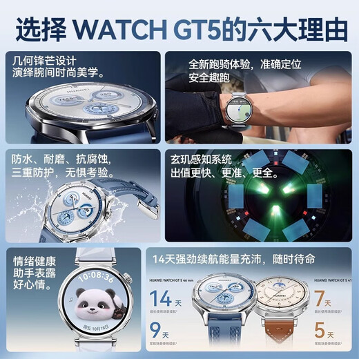 华为【国家补贴15%】华为手表watch gt5运动智能血氧心率通话微信睡眠学生送男女生友手表gt43pro升级 湖光青手表+陶瓷白银定制表带