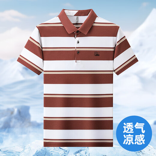 AEMAPE美国苹果2025年夏季新款纯棉短袖男士T恤条纹休闲翻领男式 6636-绿色 M