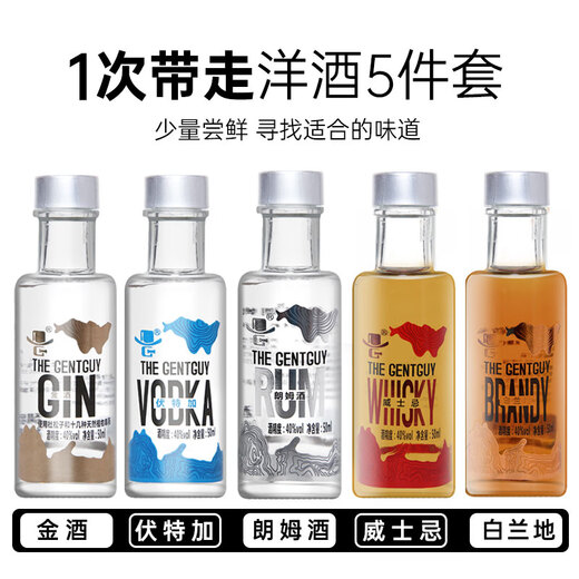 夏菲堡 SHAFFI CASTLE【5瓶装】迷你小瓶装洋酒套装 威士忌伏特加金酒朗姆酒 1套【5种洋酒】