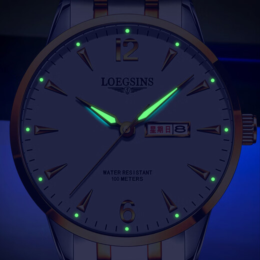 LOEGSINS Swiss Longines Watch Men Waterproof Luminous Business Fully Automatic Mechanical Watch Top Ten Brands Hollow Men Watch L728 Natural White Floor Gives Belt + Pixiu
