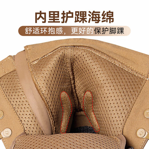 际华三五一三新式棕色作战靴作战鞋超轻防滑侧拉链训练靴沙漠高帮户外登山鞋男 棕色21作战鞋【标准】 42 【260】两双鞋垫
