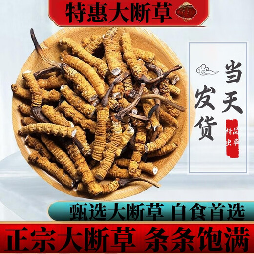 Cordyceps sinensis high-altitude cordyceps sinensis genuine nourishing 20 grams for 2 grams for self-use authentic home outfit. Tibet Nagqu fine big broken grass buy 30 grams for 3 grams for free