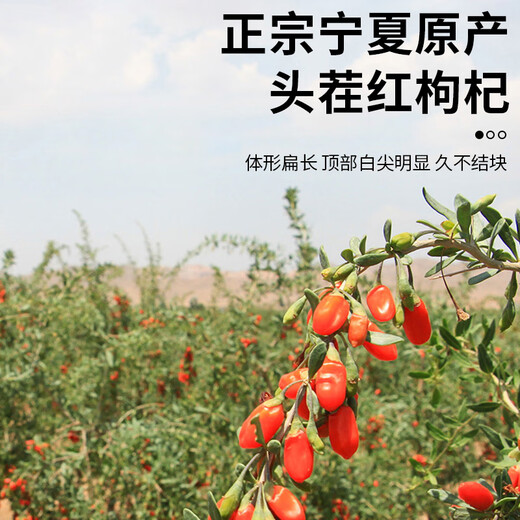 养益君菊花枸杞茶120g（12小袋）熬夜茶上火肝旺茶护养清火养生茶