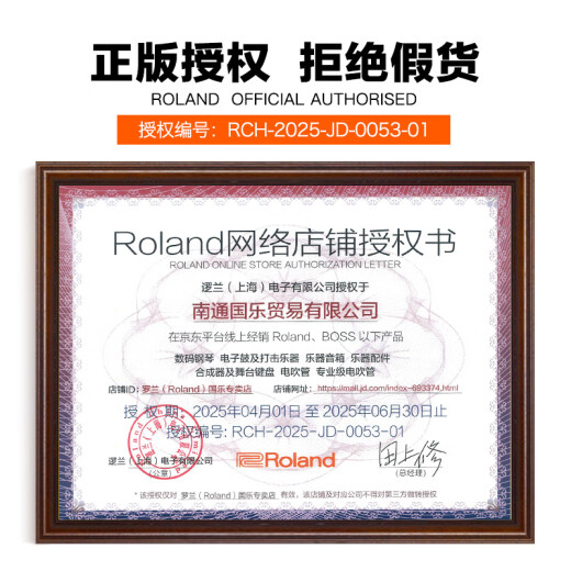罗兰（Roland）ae01电吹管电萨克斯自带音源民族音色ae05c初学入门电子管乐 AE01C标配+AC音箱+礼包