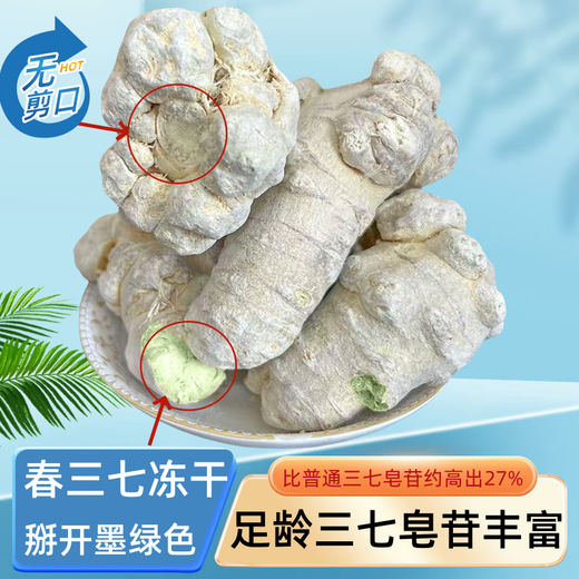 Panax notoginseng Yunnan Wenshan Panax Notoginseng Sélection du printemps Panax NotoginSeng 15 têtes 37 Ten Tian 500G Tianqi Powder Yunnan Panax Notoginseng 10 ans