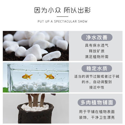 Runhuanian micro landscape white pebbles Yuhua stone succulent plant paving stone fish tank flower pot decoration small stones 1Jin Jin is equal to 0.5 kg (6-9mm) white pebbles