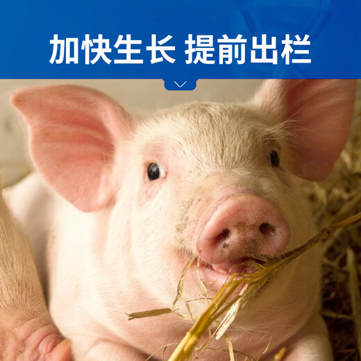 Кормовая добавка Zhonglong Shenli для свиней, крупного рогатого скота и овец для откорма и стимулирования роста цыплят, уток и гусей. Многомерные пробиотики для откорма для жевания, Madnessin 500 г, 1 пакетик