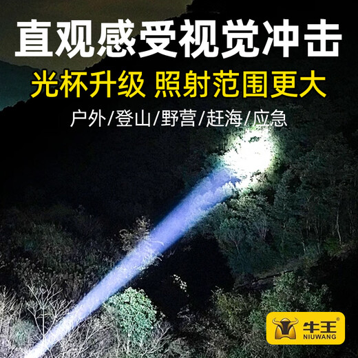 Niu Wang Qiang Lámpara de cabeza calva Gran punto de luz grande impermeable al aire libre y brillante a largo plazo, operación de largo alcance, pesca nocturna, corrida de mar, NW-869 blanco Super Light-Super-7200mAh