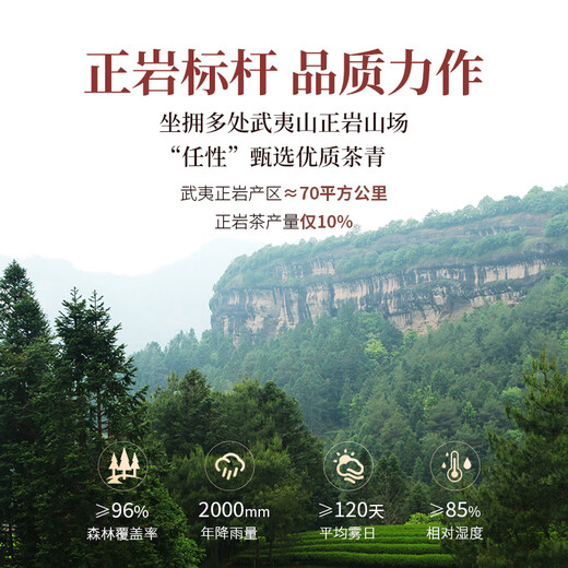孝文家茶岩值武夷岩茶正岩肉桂一级99.6g中足火自饮礼盒装节日送礼