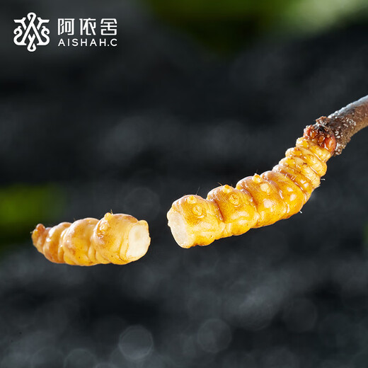 Ayishe fresh first large-sized fresh broken cordyceps 100 grams fresh cordyceps sinensis origin straight from the source