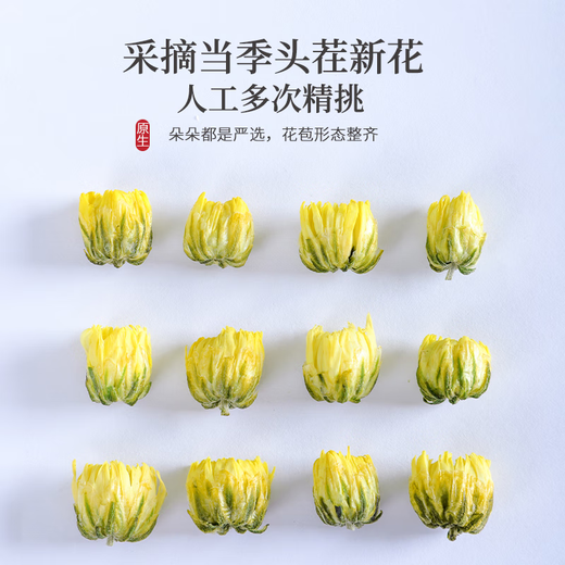 茶半春胎菊 正宗杭白菊花茶清凉茶 可搭枸杞决明子泡水喝花草茶罐装45g