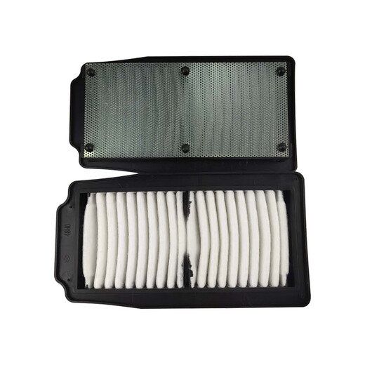 Tansilong Motorcycle GW250 DL250 TR300 DR300 GSX250R-A Filtro de aire Filtro de aire Filtro original [10 Filtros de aire] Original 13780-48H00 GW