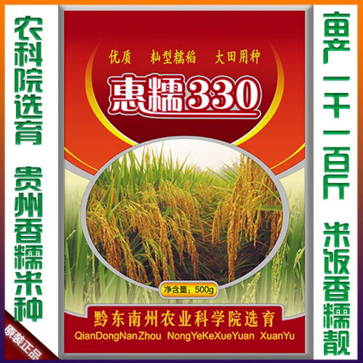Guizhou glutinous rice seeds long-grain fragrant glutinous rice seeds paddy field seeds Huinuo 330 pearl glutinous rice seeds early and late rice seeds regular Taihe fragrant glutinous rice seeds a pack (round glutinous rice 200 grams)