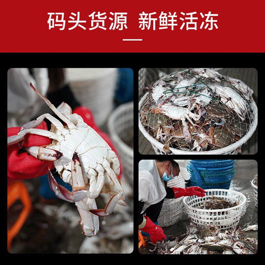 Frozen fresh and raw swimming crab live frozen Zhoushan extra large crab seafood 3Jin Jin equals 0.5kg 5-7 taels/piece of swimming crab 25-year-old new crabs sent directly from the source