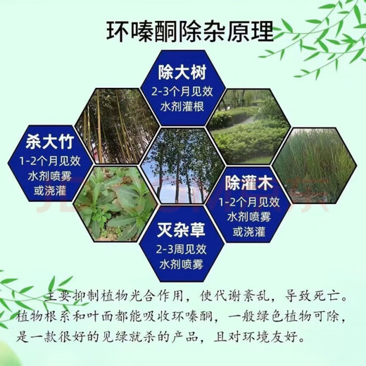 环嗪酮25％水剂环嗪酮除大树竹子灌木杂草高浓度杀大树烂根药 25%高浓度10瓶送注射器