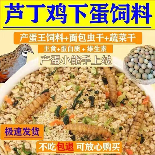 Special feed for rutin chicken, rutin chicken egg production feed, mealworm brooding feed, quail feed, high protein 3Jin Jin is equal to 0.5 kg, egg production food containing mealworms, dried vegetables