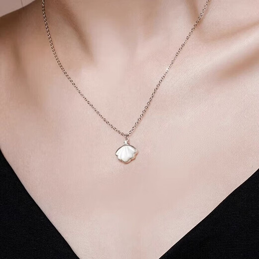 Dirholl Yibeizi platinum necklace, simple and fashionable clavicle chain, Valentine's Day birthday gift for wife and girlfriend PT950 platinum necklace + Yibeizi projection pendant, free engraving - ghostwriting greeting card - exclusive gift box