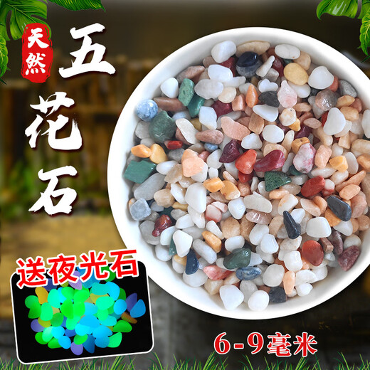 Runhua Nian Pure Rain Flower Stone Potted Succulent Pavement Stone Small Multicolored Stone Fish Tank Pavement Ornamental Stone Colorful Small Stone Multicolored Stone 6-9mm 5.2Jin Jin equals 0.5kg (hot)