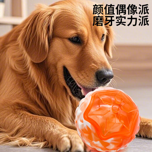 Zanpet round flashing sound ball orange and white, bite-resistant and not easy to rot, teeth grinding training interactive self-pleasure and boredom relief bell ball