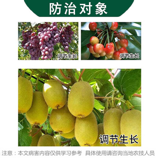 Beautiful bud 50% cyanamide grape kiwi nectarine sleep-breaking agent germination accelerator growth regulator 250g*1 bottle