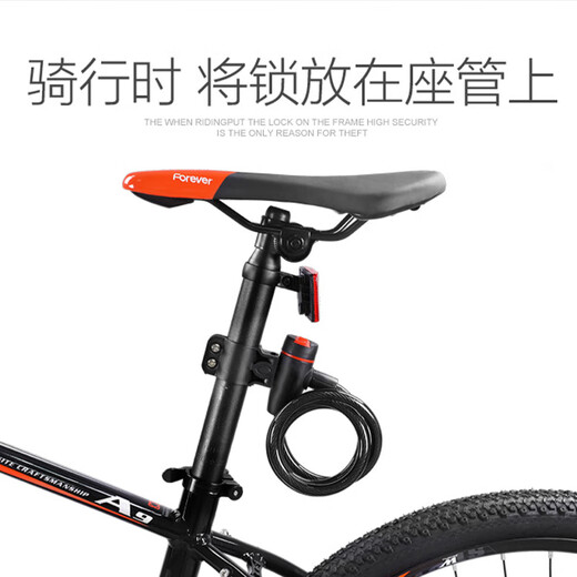 飞鸽 自行车骑行装备配件山地车防盗锁便携式密码钢缆丝链子密码锁 圈圈钥匙锁【0.4米】