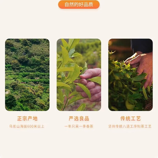 天池蜜兰香1392凤凰单枞春茶蜜兰香单枞茶炭焙乌龙茶罐装320g 天池家庭版蜜兰香一罐