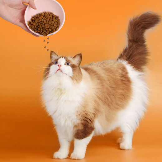 He Jiangong cat food, general fattening for young cats and adults, 1 Jin Jin is equal to 0.5 kg, 10 Jin Jin is equal to 0.5 kg, 20 Jin Jin is equal to 0.5 kg, all-stage staple food wholesale cat snacks, chicken and beef, nutritional double protein cat staple food, 2.5kg, 5 Jin Jin is equal to 0.5 kg