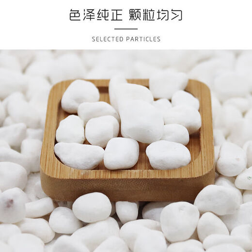 Runhuanian micro landscape white pebbles Yuhua stone succulent plant paving stone fish tank flower pot decoration small stones 1Jin Jin is equal to 0.5 kg (6-9mm) white pebbles