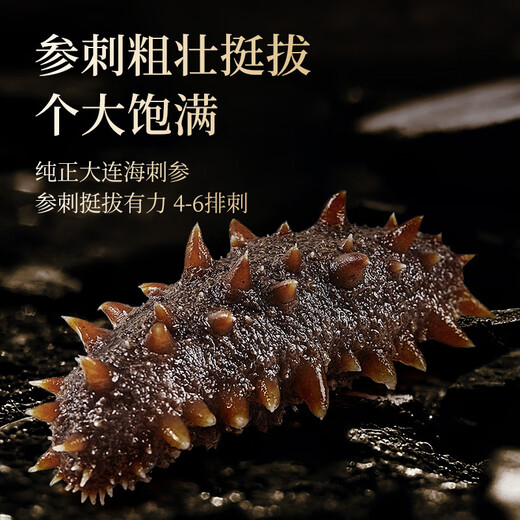 Gongyi Dalian ready-to-eat sea cucumber 2Jin Jin equals 0.5kg 20-30 pieces Home decoration No soaking bottom sowing sea cucumber fresh sea cucumber processing
