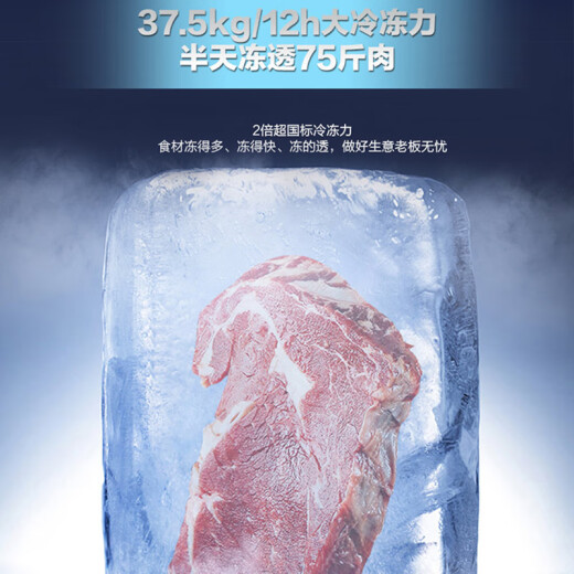 海尔（Haier）冰柜商用大容量500升以上卧式冷藏冷冻柜换带锁家用深冷速冻冰柜超低温双开门 可装1200斤肉【冰雪白高性价比大容量】 829L