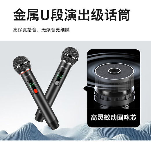 Philips outdoor stage high-power square dance audio mobile portable trolley commercial conference speaker wireless Bluetooth high-volume karaoke amplification with dual microphone SD190 karaoke system + horn tweeter