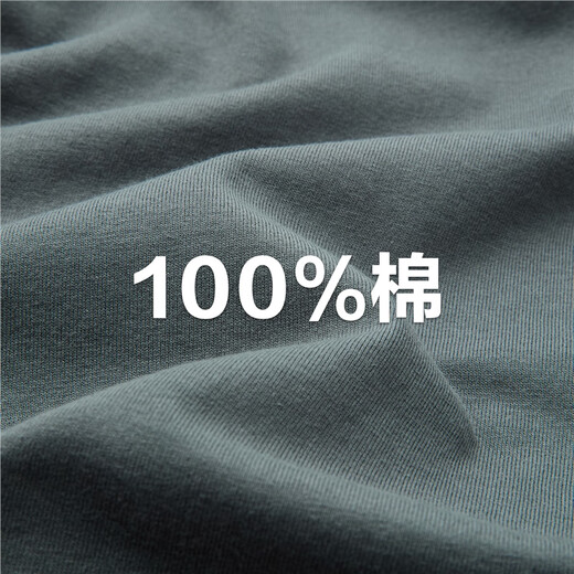 Giordano Henry shirt men's new pure cotton solid color bottoming shirt men's Henry collar long-sleeved T-shirt men 01024821 01 logo white M