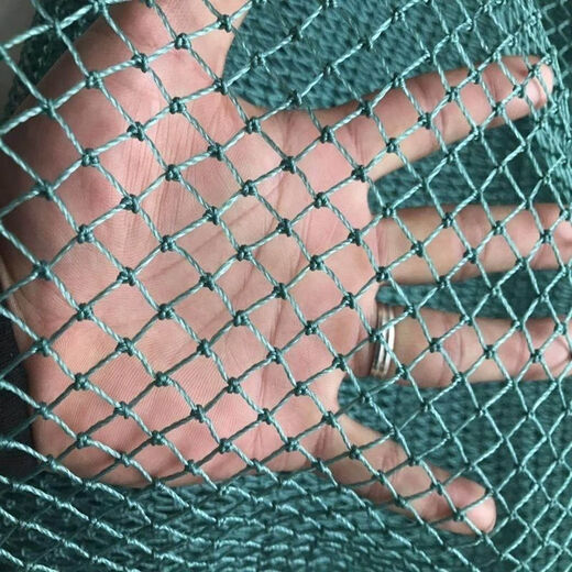 Chicken net, chicken net, fishing net, breeding net, fence net, nylon vegetable garden fence, climbing vine grid, chicken net, protective fish net, thickened 18 strands, 3 cm, thickened ribs, 1.5 meters high, 10 meters long