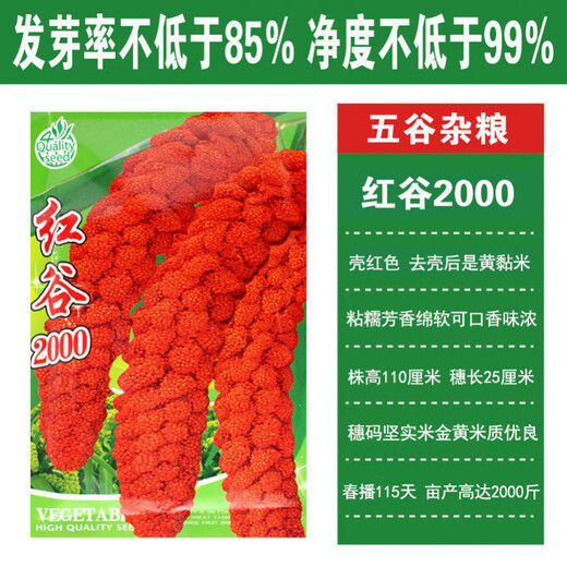 Лиланг Семена риса Просо Семена проса Red Calcium Valley Восковой Желтый Valley Кукурузное просо Red Valley Маленький ароматный рис Цельнозерновой Red Valley 2000/100 г Желтый рис Red Valley