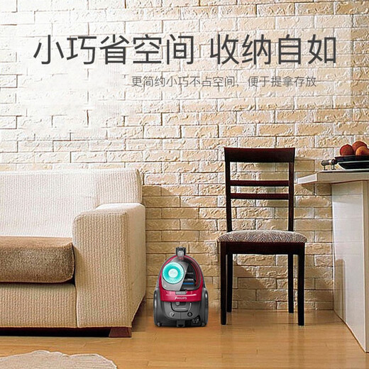 奥克斯吸尘器FC8632家用9573大吸力功率地毯静音螨除狗毛小型9735 XB2022/标配