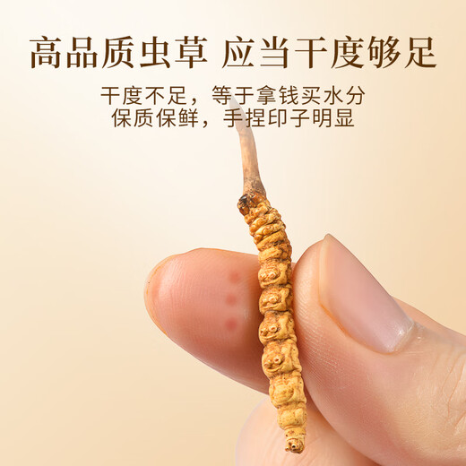Wancao Kangren Cordyceps Sinensis Отборочная трава в тибетских районах свежие сушеное кордицепс питательный питание Отправить подарок на День Матери для старейшин 2 корней/g 10G (бутылки) Отправить Wolfberry * 1