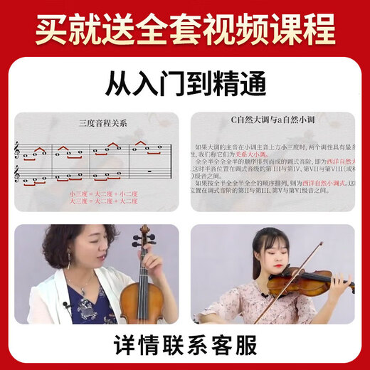 La voix de la voix de violon électronique muette pour les débutants pratiques à la maison pour adultes de performance professionnelle étape en silence les instruments de musique folk