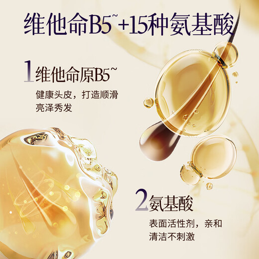 亮荘植物精油香氛洗发露500g去屑止痒洗发水持久留香洗头膏男女士通用