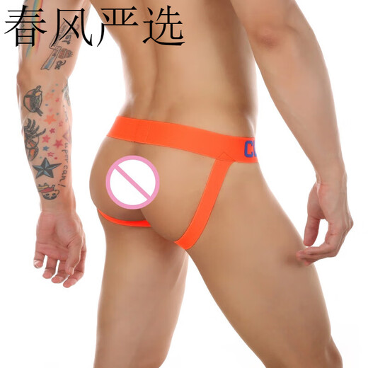 长夜漫漫男士情趣内裤 锦纶舒适男士gay穿丁字裤 性感荧光色网孔露臀内裤 黑色 M(70-76CM)
